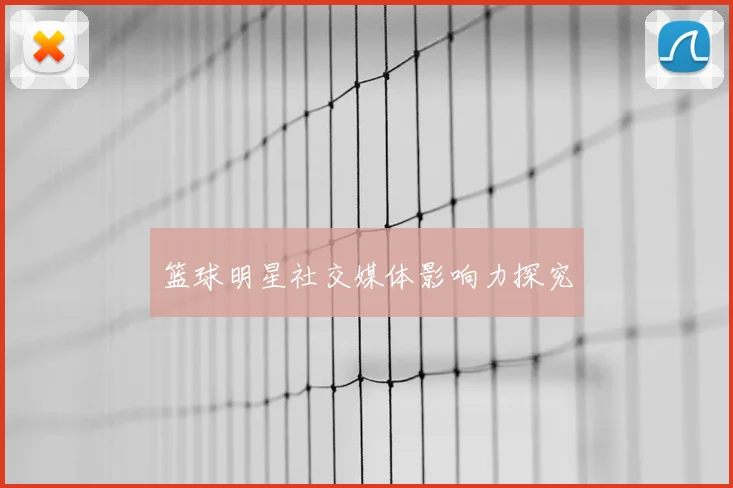 篮球明星社交媒体影响力探究
