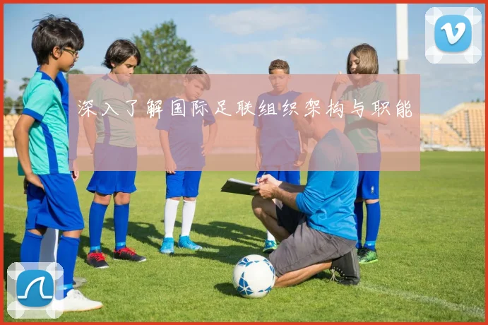 深入了解国际足联组织架构与职能