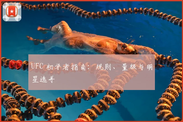 UFC 初学者指南：规则、量级与明星选手