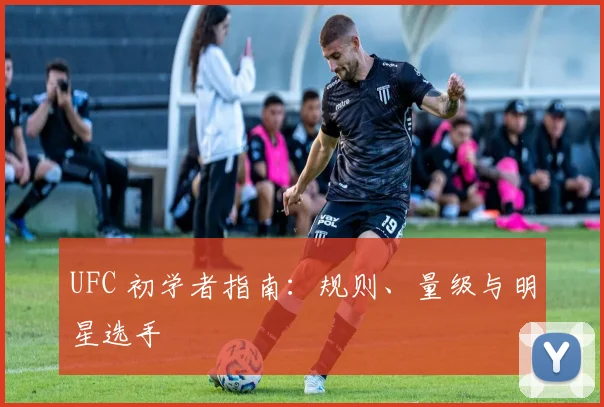 UFC 初学者指南:规则、量级与明星选手
